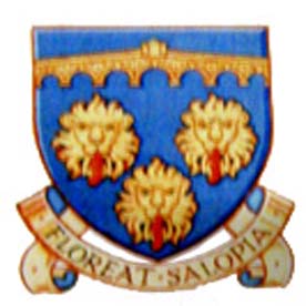 Go To Williams Website